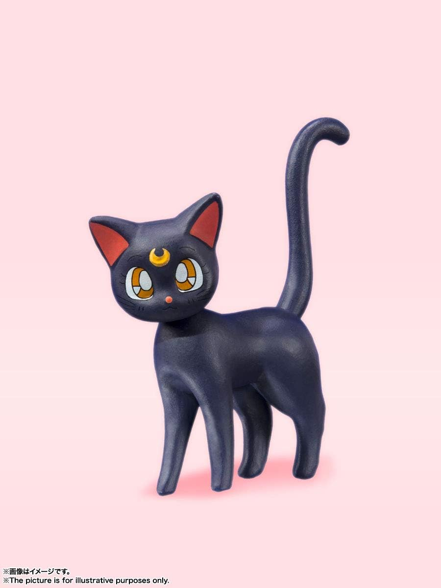 Sailor Moon (Animation Color Edition) Pretty Guardian Sailor Moon, Bandai S.H. Figuarts