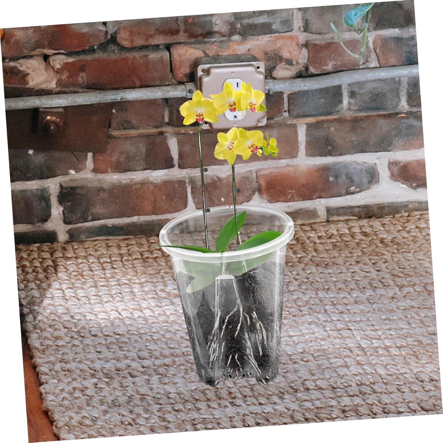Milisten 6Pcs Plastic Breathable Planters for Orchids Nursery Pots Drainage for Indoor Outdoor Planting