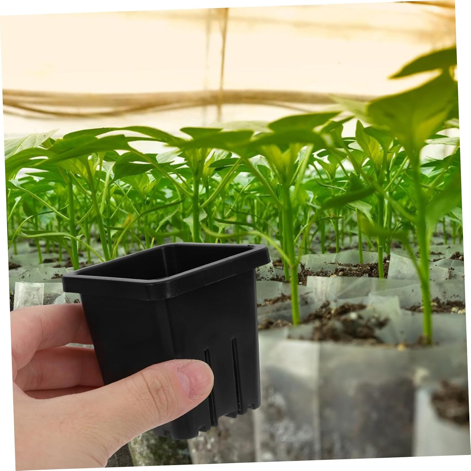 Parliky Plastic Hydroponic Pots Set of 10 Versatile Baskets for Indoor/Outdoor Gardening Aquatic Planting image number 6