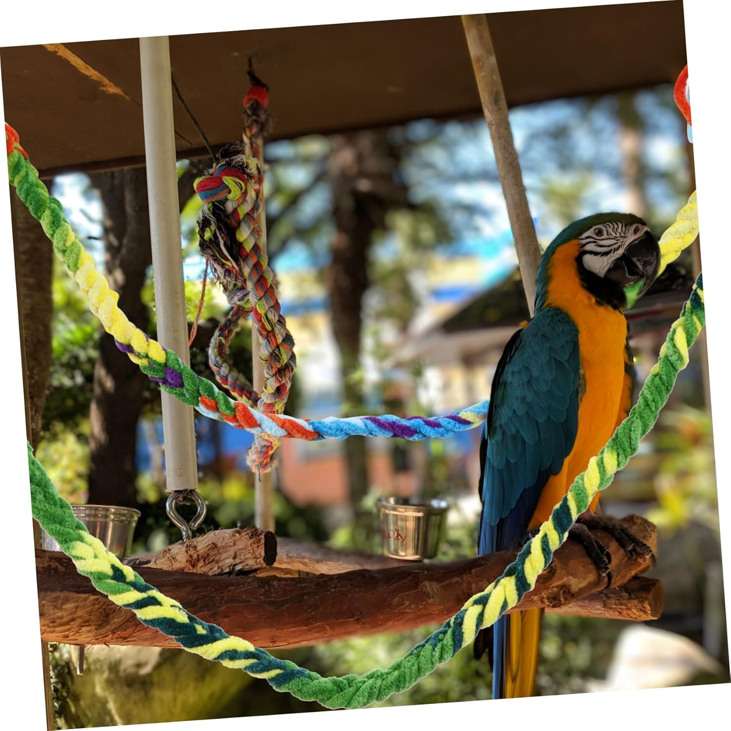 ARTSEWPLY 6 Pcs Parrot Swing Plaything with Colorful Cotton Rope for Birds and Hamster Climbing Rope Hanging Climbing Gym for Small Pets Reduces Boredom and Encourages Chewing Random Color image number 6