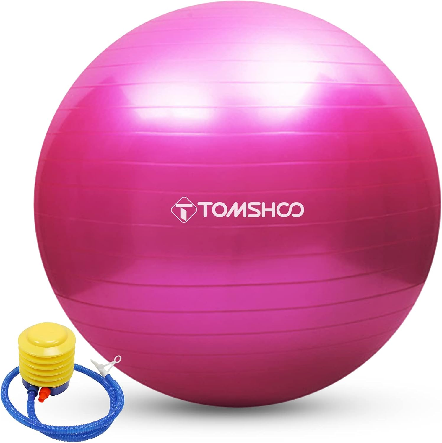 Anti-Burst Yoga Ball 45Cm/55Cm/65Cm/75Cm Stability Balance Ball Pilates Barre Physical Fitness Exercise Ball with Air Pump