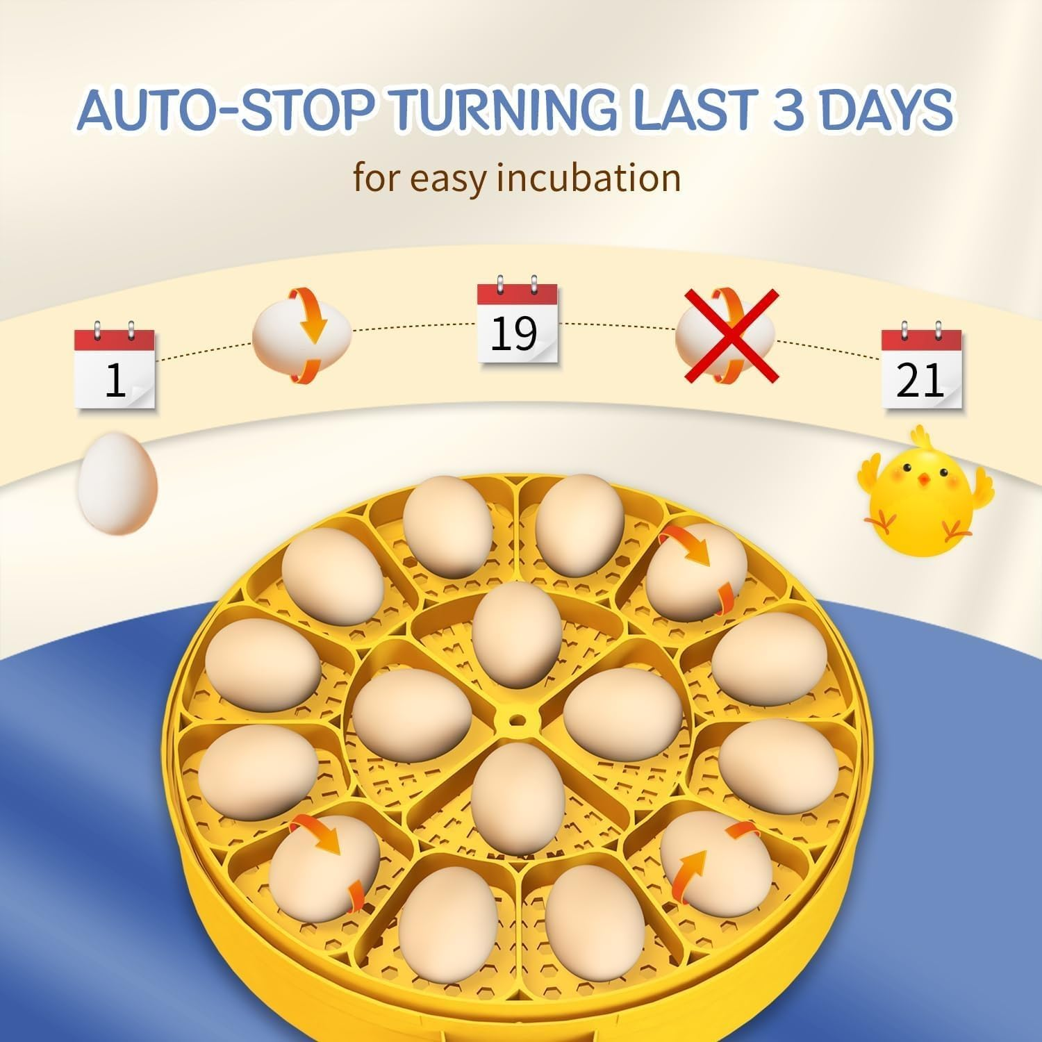 16 Egg Incubator with Automatic Egg Turning and Humidity Control,Incubators for Hatching Eggs,Incubator for Chicken Eggs,Duck,Quail, Pigeon image number 5