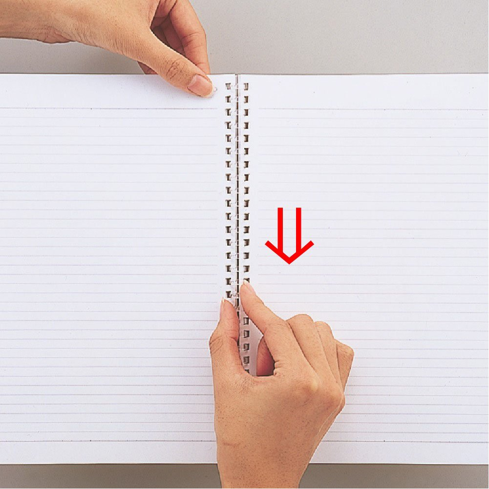 Lihit Lab. Inc. Twist Ring Notebook N1640-1 Milky White A5 image number 5