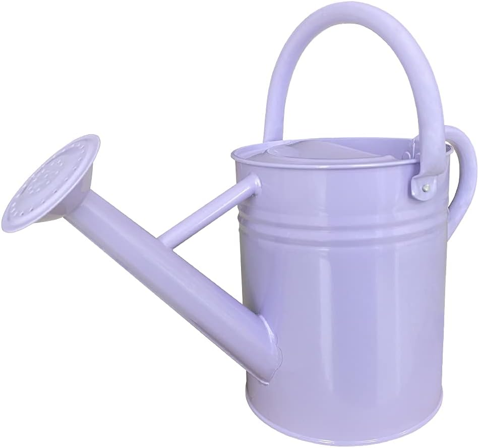 Metal Watering Can for Outdoor and Indoor Plants, Watering Can Decor, 1 Gallon (1 Gallon Green2)