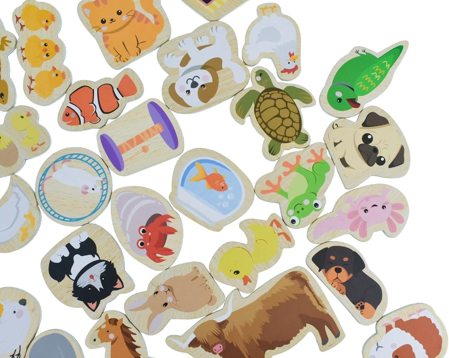 Koala Dream - Fridge Friends Pets Set | 30Pcs Fun Pet-Themed Educational Animal Magnets for Kids
