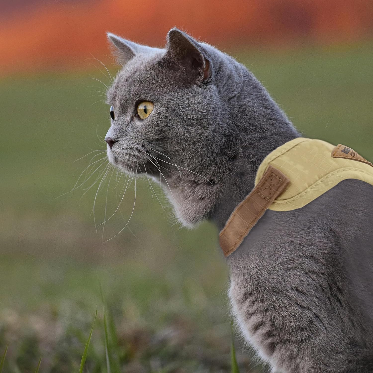 CAPASTEC Soft Cat Harness and Leash Set, Breathable Kitten Harness, Beige, S image number 5