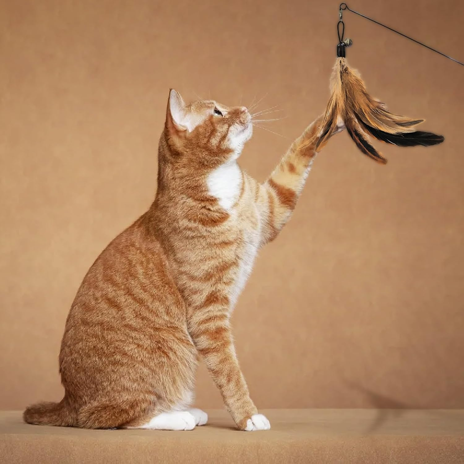 SONGWAY Indoor Cat Teaser - Elastic Cat Teaser + 6 Different Style Interactive Toys, Original Color Spotted Cat Feather Toy image number 5