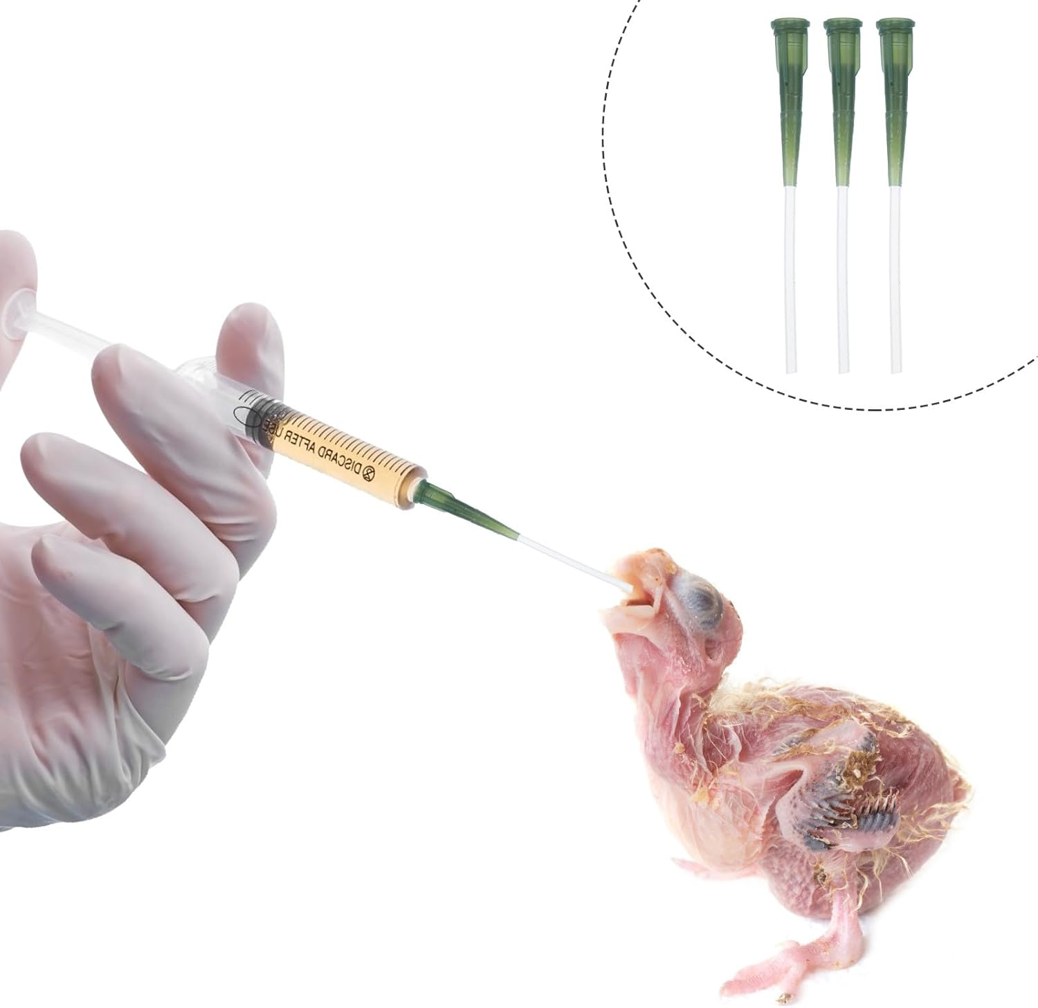 Levemolo Bird Feeding Soft Tubing 3Pcs Flexible 1.5-2.0Mm Hose for Parrot and Small Bird Hand-Feeding Lightweight Pet Feeding Tool for Nursery image number 3