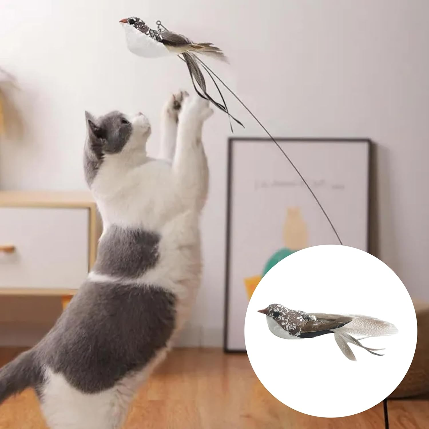 YIDM Cat Toy Feather Cat Angel Replacement Feathers: 8 Pieces Interactive Cat Toy Feather with Bell, Cat Fishing Rod Replacement Feathers, Cat Toy Interactive Feather Intelligence Toy image number 5