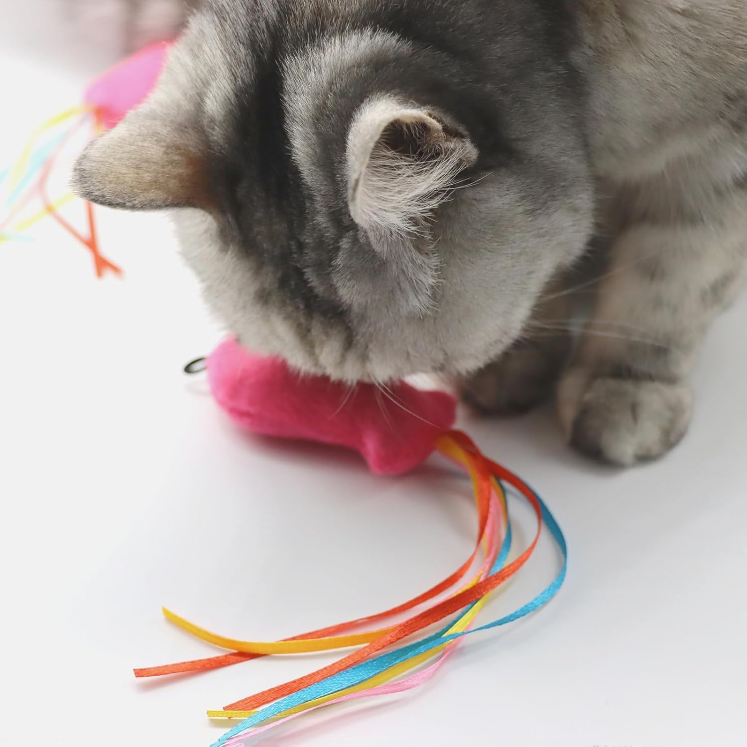 Wzenclave 12 Pack 4-In-1 Interactive Cat Toys for Indoor Cats & Kittens - Feather Teaser Wand with Suction Cup, Triangle & Adhesive Hooks, Fun Exercise Toys for Cats & Puppies