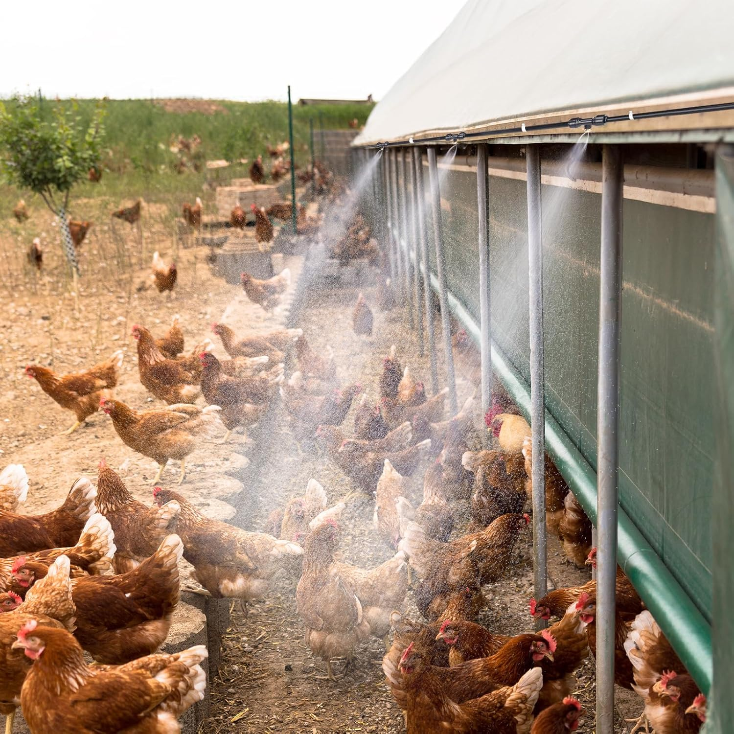 Chicken Coop Misting Cooling System,Misting Hose for Patio with 26FT Misting Line + 8Mist Nozzles +3/4" Adapter& T-Joints Perfect for Cooling Chicken Coops during Summer image number 3