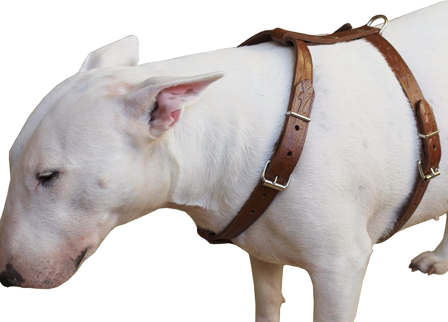 Genuine Tooled Leather Dog Harness Medium. 22"-30" Chest, 3/4" Wide Straps, Boston Terrier image number 1