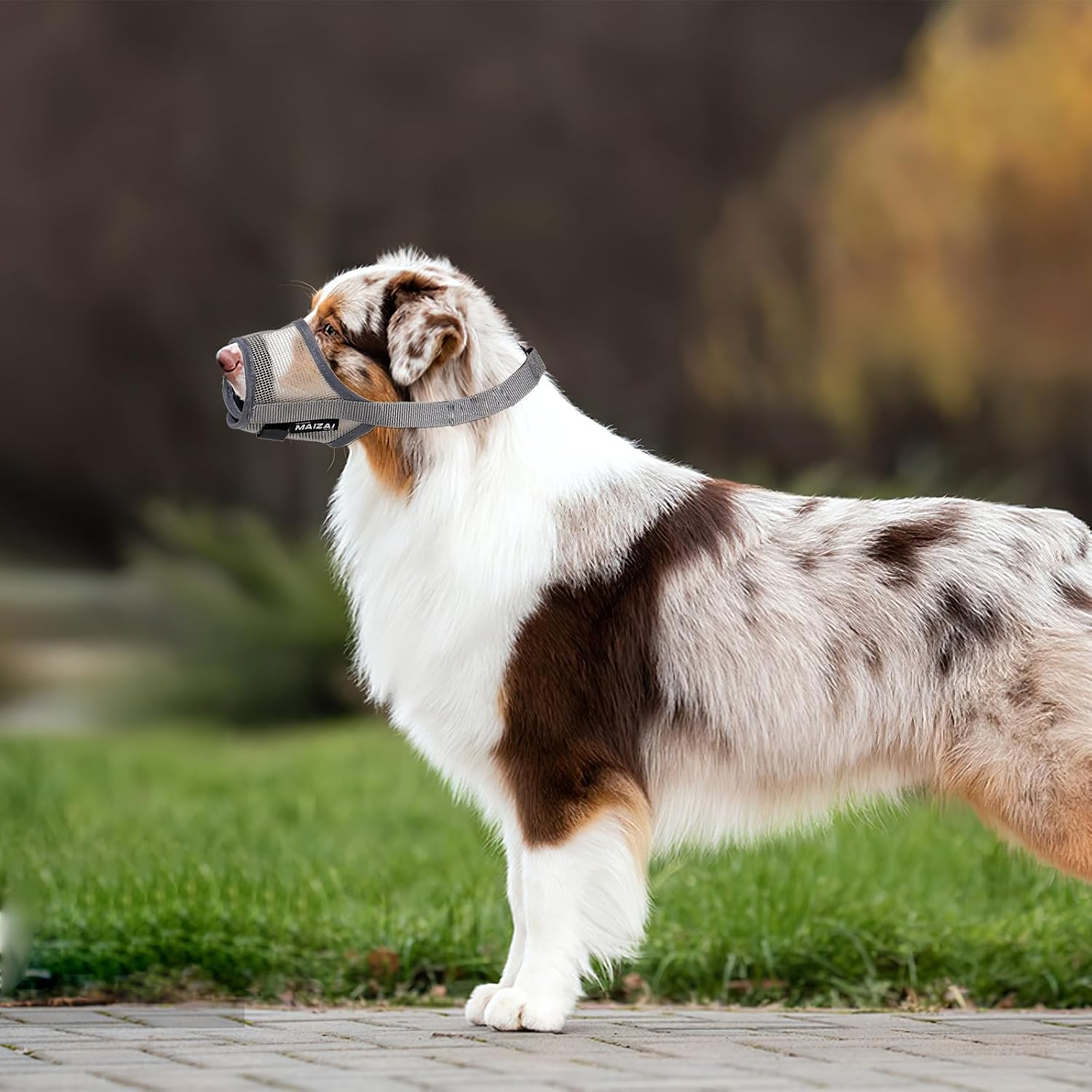 Larfraecy Muzzles for Dogs, Soft Mesh Muzzle, Breathable Muzzle for Dogs, Adjustable Dog Muzzle for Medium and Large Dogs, Catching Biting, Licking and Chewing (Grey, L) image number 2