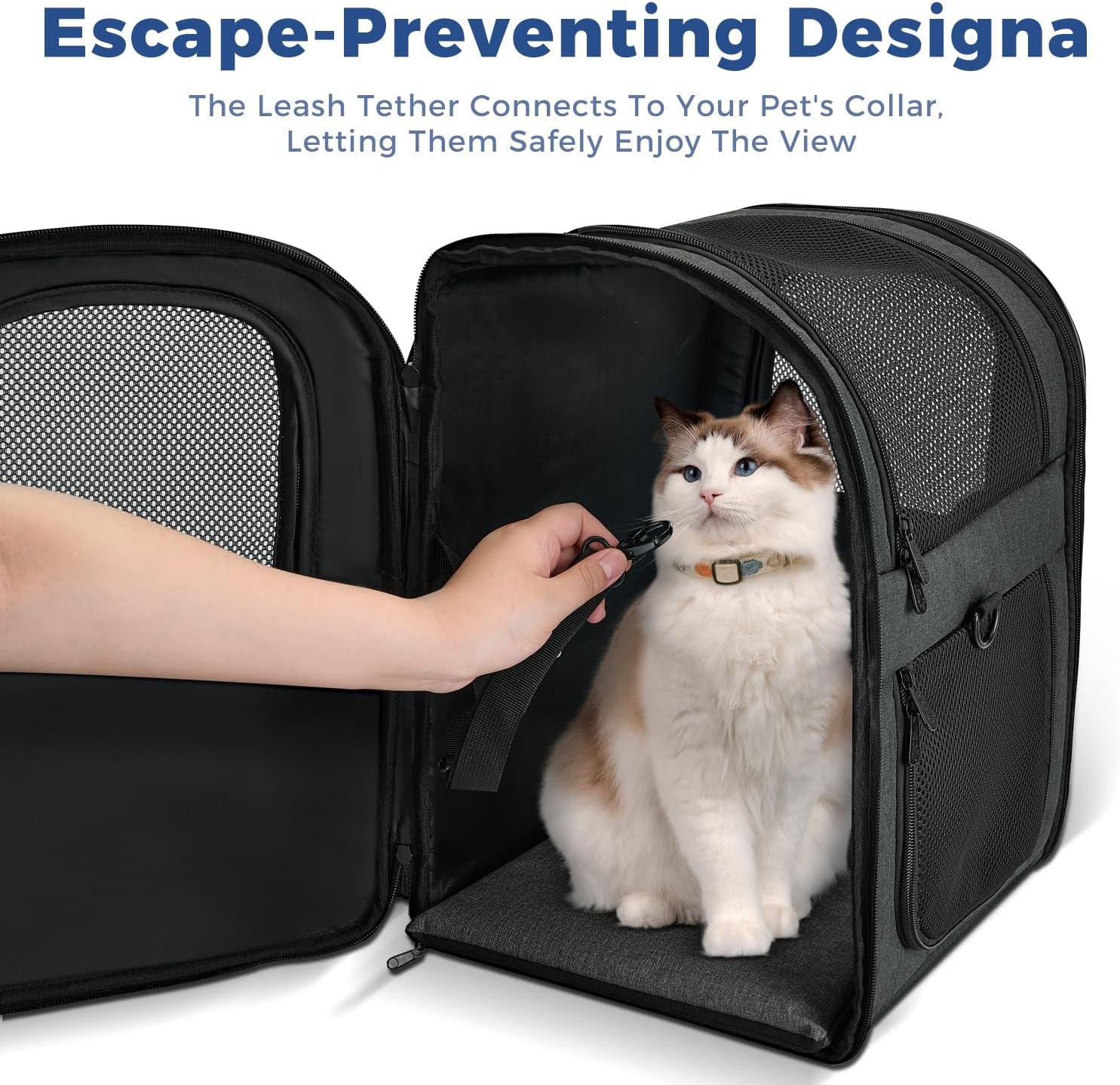 Apollo Walker Pet Carrier Backpack for Large/Small Cats and Dogs, Puppies, Safety Features and Cushion Back Support for Travel, Hiking, Outdoor Use (Black) - Black image number 4