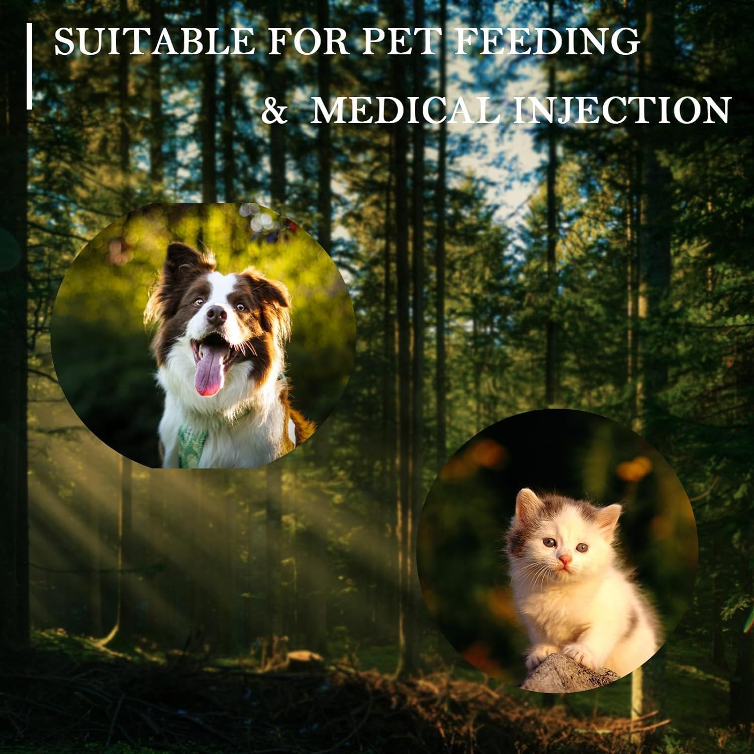 100Pcs 25G X 1 Inch (0.50X25Mm) Terumo Agani Dispensing Needle &ndash; Industrial Science Lab Experiments Injection Syringe Accessories &ndash; Individual Sterile Package image number 5