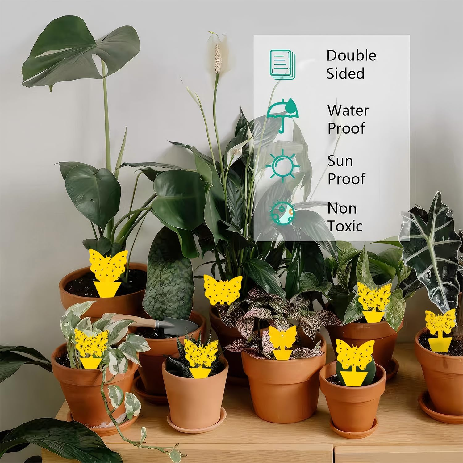 60 PCS Sticky Traps, Gnats Fruit Fly Traps, Butterfly & Christmas Tree Dual-Sided Sticky Insect Catcher for Fungus Gnats Whiteflies Mosquitos Aphids Leafminers Flying Insects, Indoor and Outdoor Use image number 1