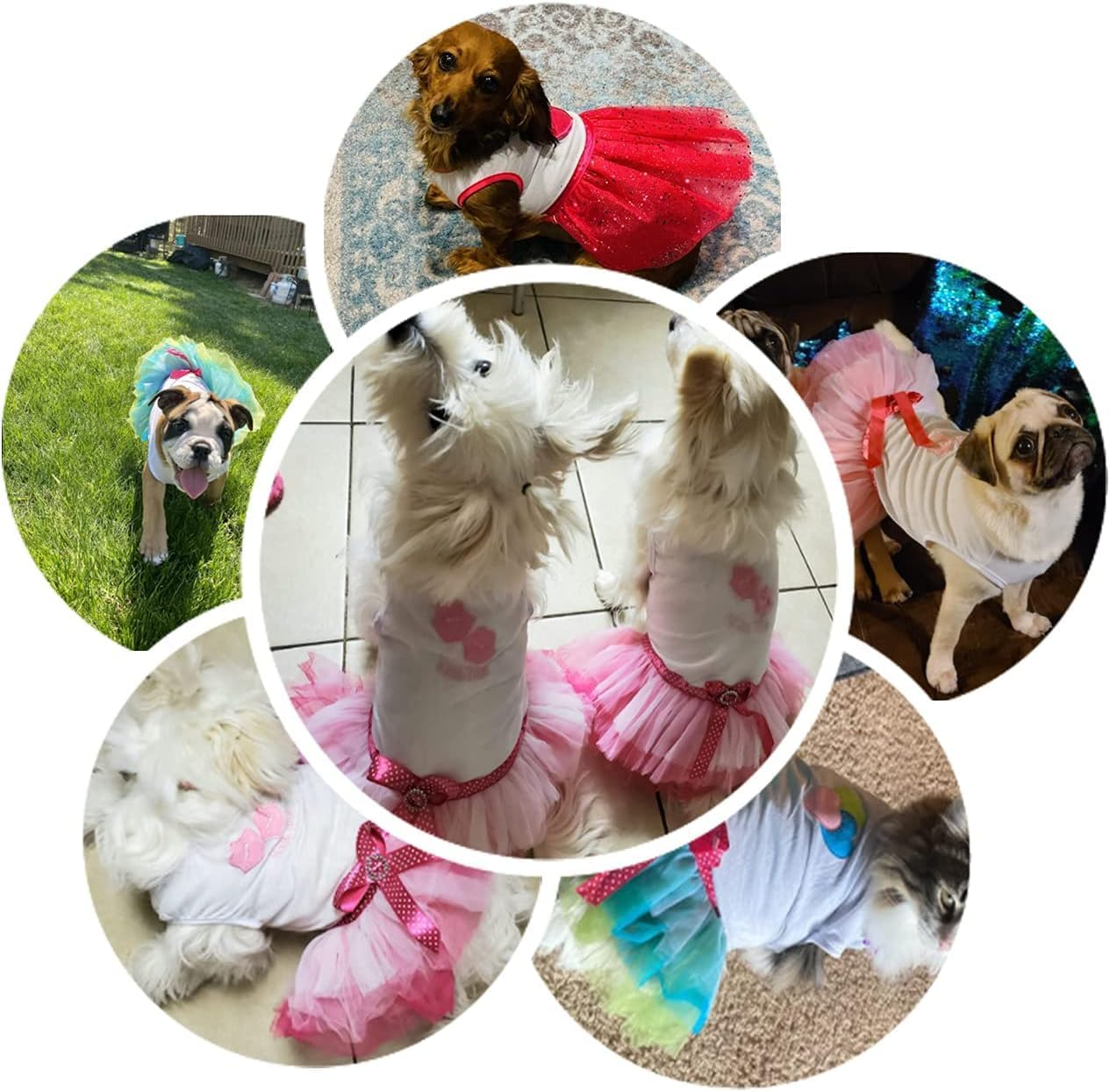 Dog Dress Luxury Puppy Skirt Dog Clothes Princess Dresses Wedding Evening Dress Skirt Red Lips Bowknot Dress for Small Dog Girl (Pink, S) image number 5