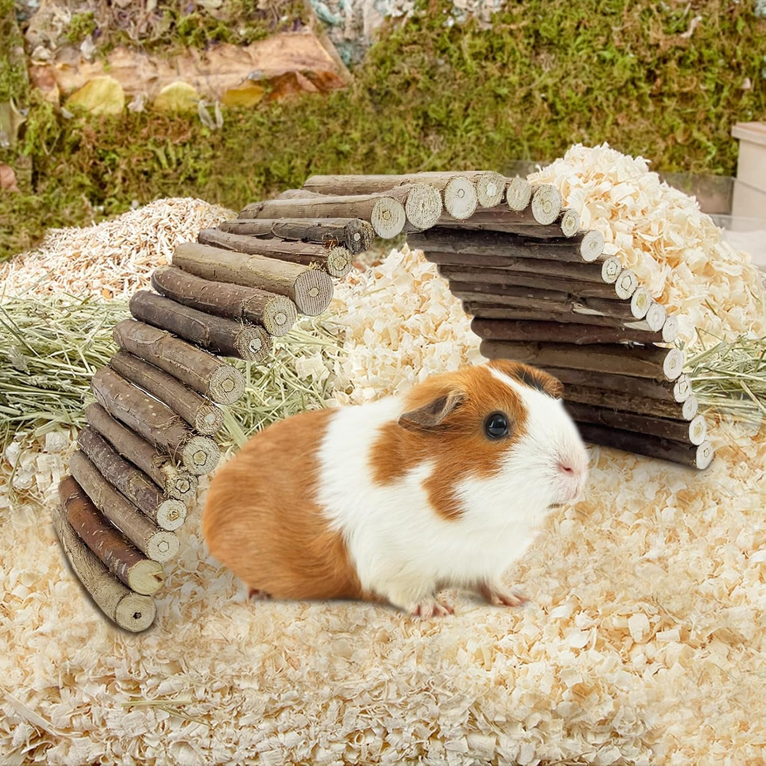 Flexible Wood Hideout - Extra Large - House, Tunnel, Ramp, Bridge, Guinea Pig Hideout, Ferrets, Hedgehogs, Chinchillas, Small Rabbits, and Other Small Animals-Accessories, Toys, and Supplies G_01 image number 3