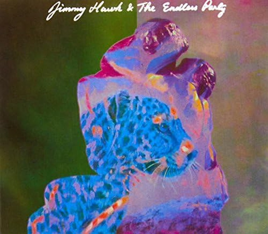 Jimmy Hawk & the Endless Party