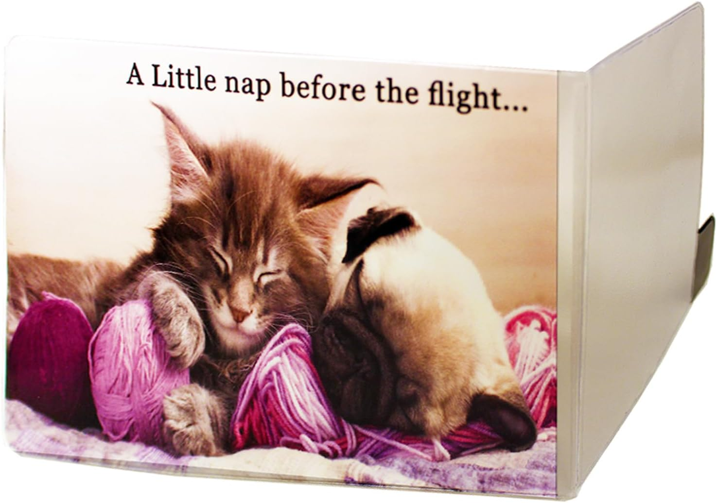 Fun Travel Wallet Organiser Family Personal Document Passport Holder Case Pouch - 6 Pockets Holiday Ticket Water Resistant Mens Womens, Zebra, 22 X 15.8 Cm, Modern