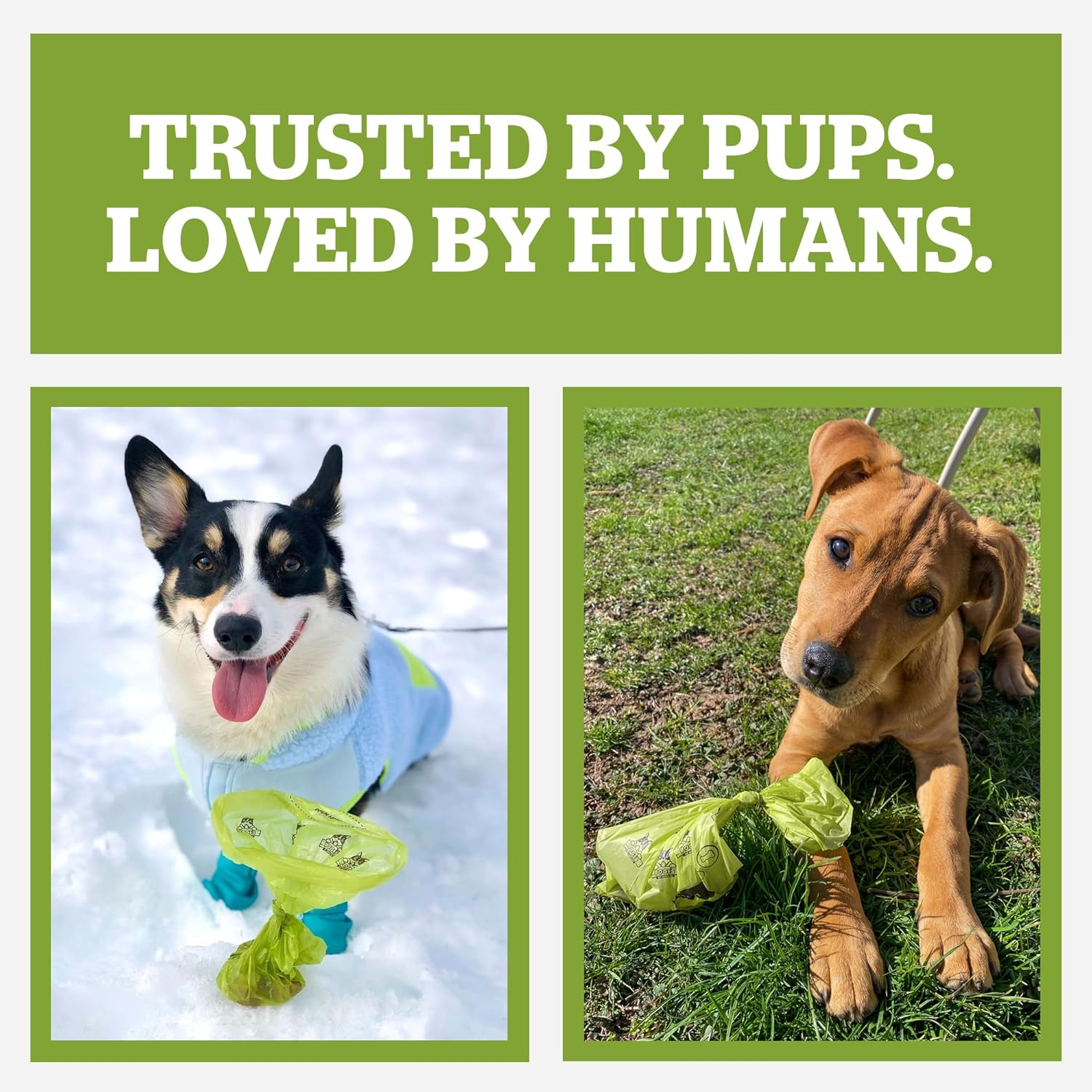 Pogi&rsquo;S Dog Poop Bags - 500 Unscented Doggie Poop Bags for Yards - Leak-Proof Dog Waste Bags - Ultra Thick, Extra Large Poop Bags for Dogs & Cats (Single Large Roll) - Scented image number 7