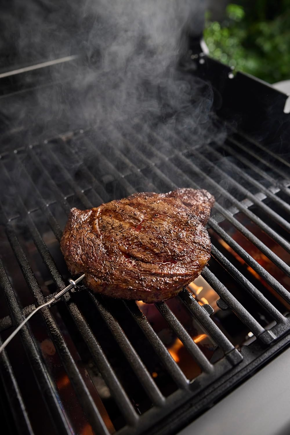 WEBER Wired Grill Grate Food Probe image number 2