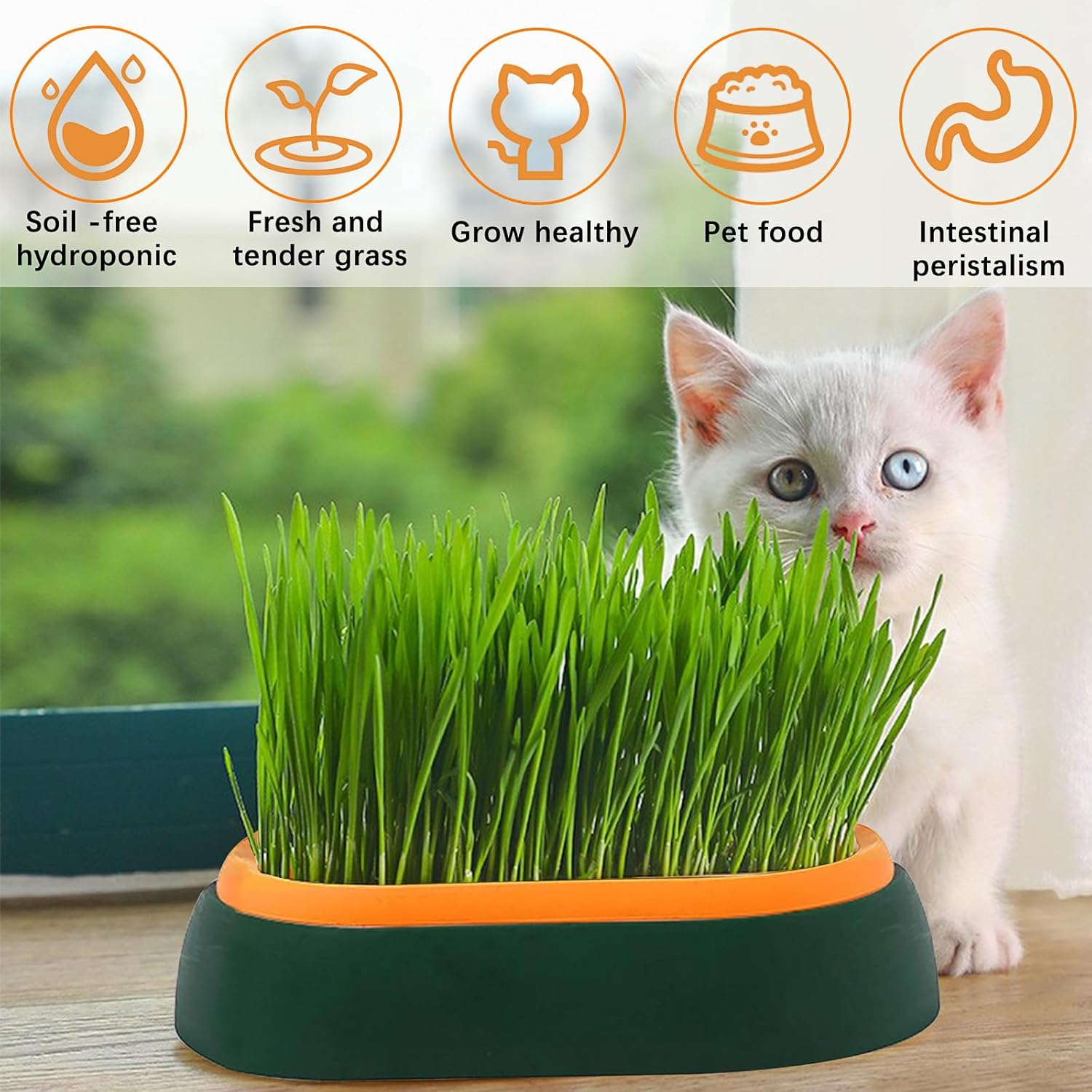 2 Pieces Plastic Catnip Box, Cat Grass Box Tray for Cats, Hydroponic Catnip Planting Box with 6 Seed Bags image number 4