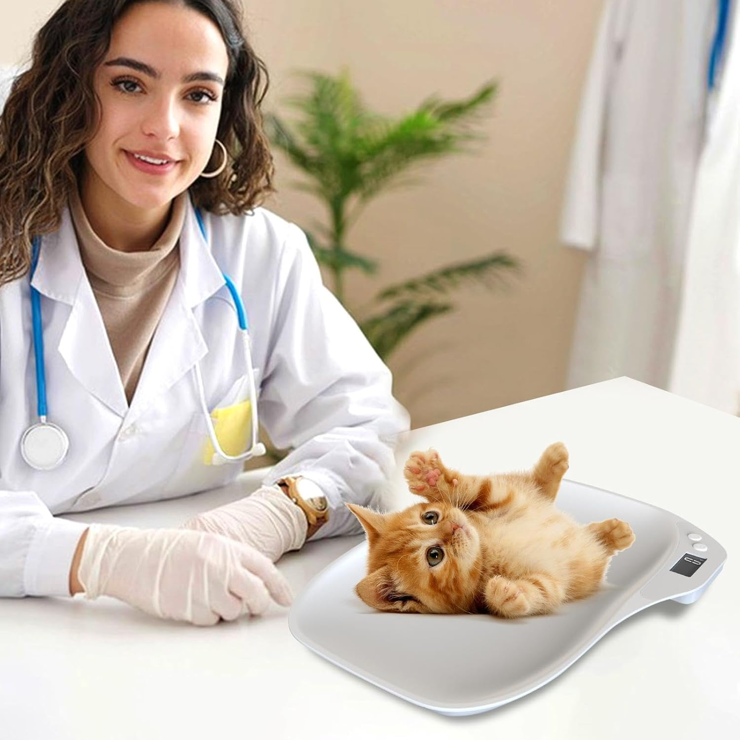 Digital Pet Scale - Accurate Weight Scale Small Animal LCD Scale | Electronic Scale with Height Tray for Puppy Cat Hedgehog Hamster Home Pet Shelter image number 6