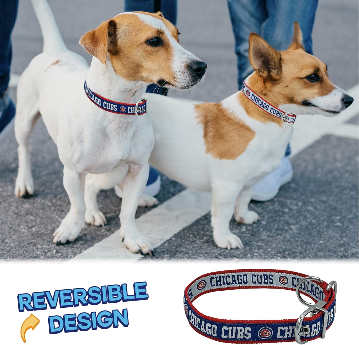 Chicago Cubs Reversible MLB Dog Collar, Large. Premium Home & Away Two-Sided Pet Collar Adjustable with Metal Buckle. Your Favorite MLB Baseball Team with a Unique Design on Each Side! Dogs & Cats image number 5