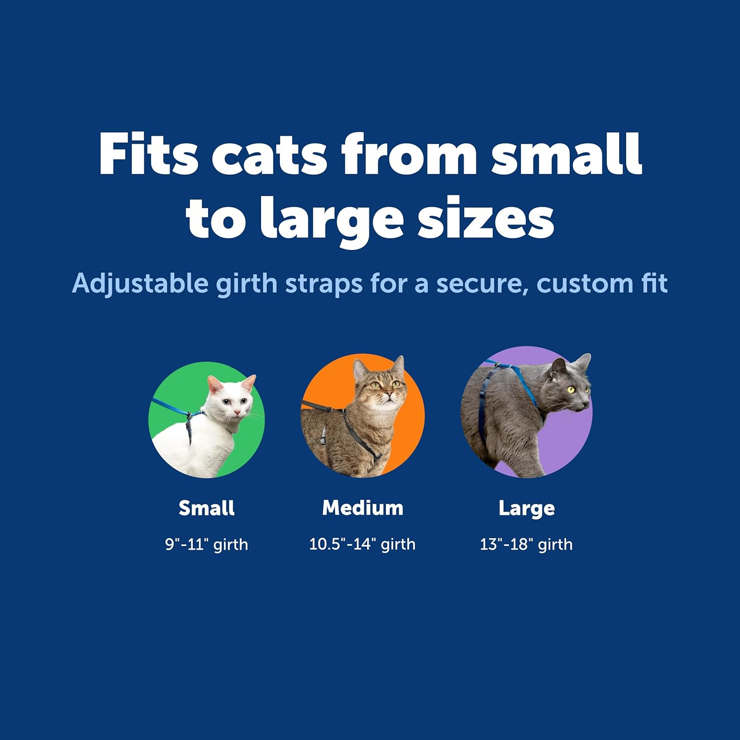 Petsafe Come with Me Kitty Harness and Bungee Leash, Small, Black image number 7