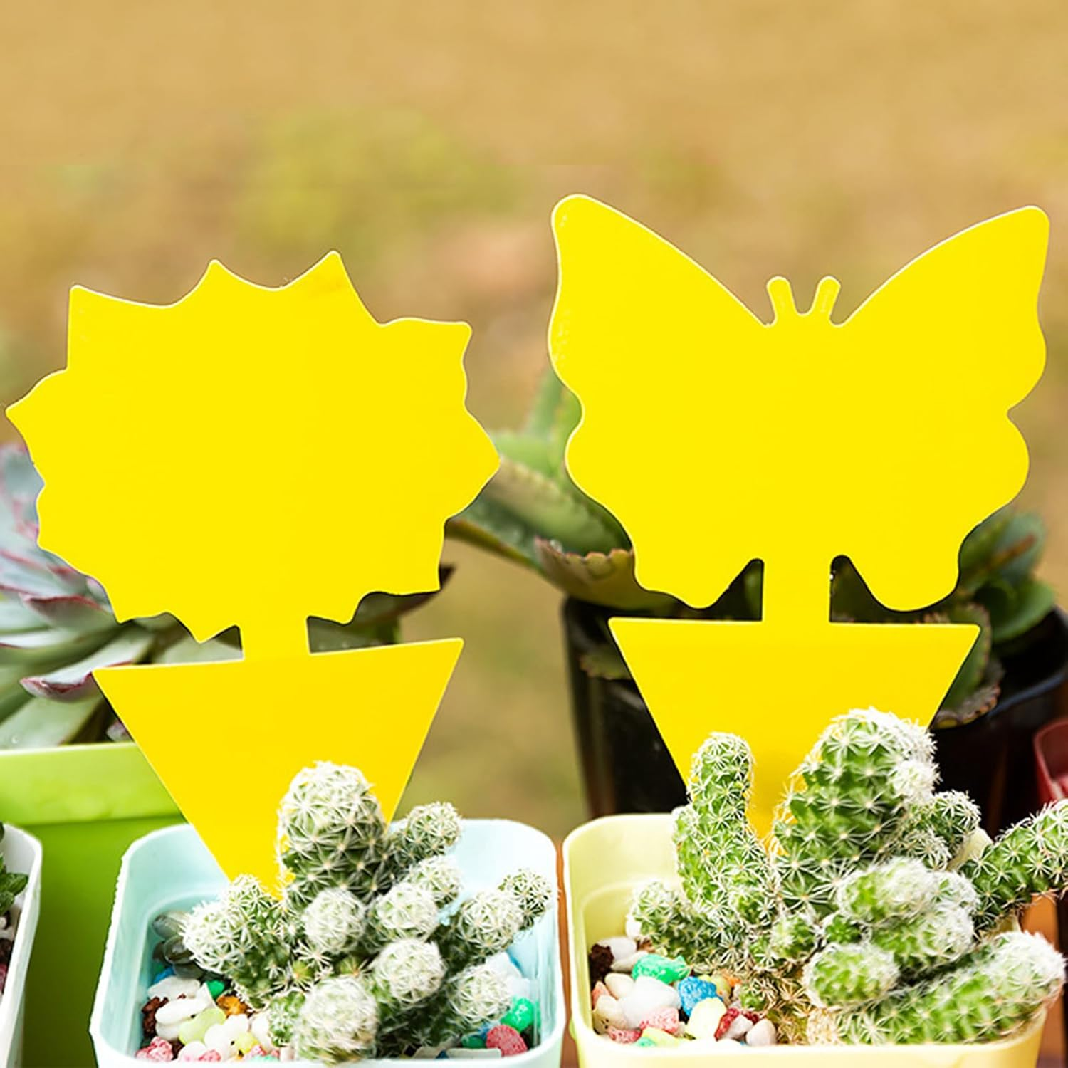 Fruit Fly Traps Fungus Gnat Traps, Dual-Sided Fungus Gnat Sticky Traps 42 Pack Non-Toxic and Odorless Gnat Killer for Indoor Outdoor House Kitchen Plants Whitefly Mosquitos Latex Resistance Band