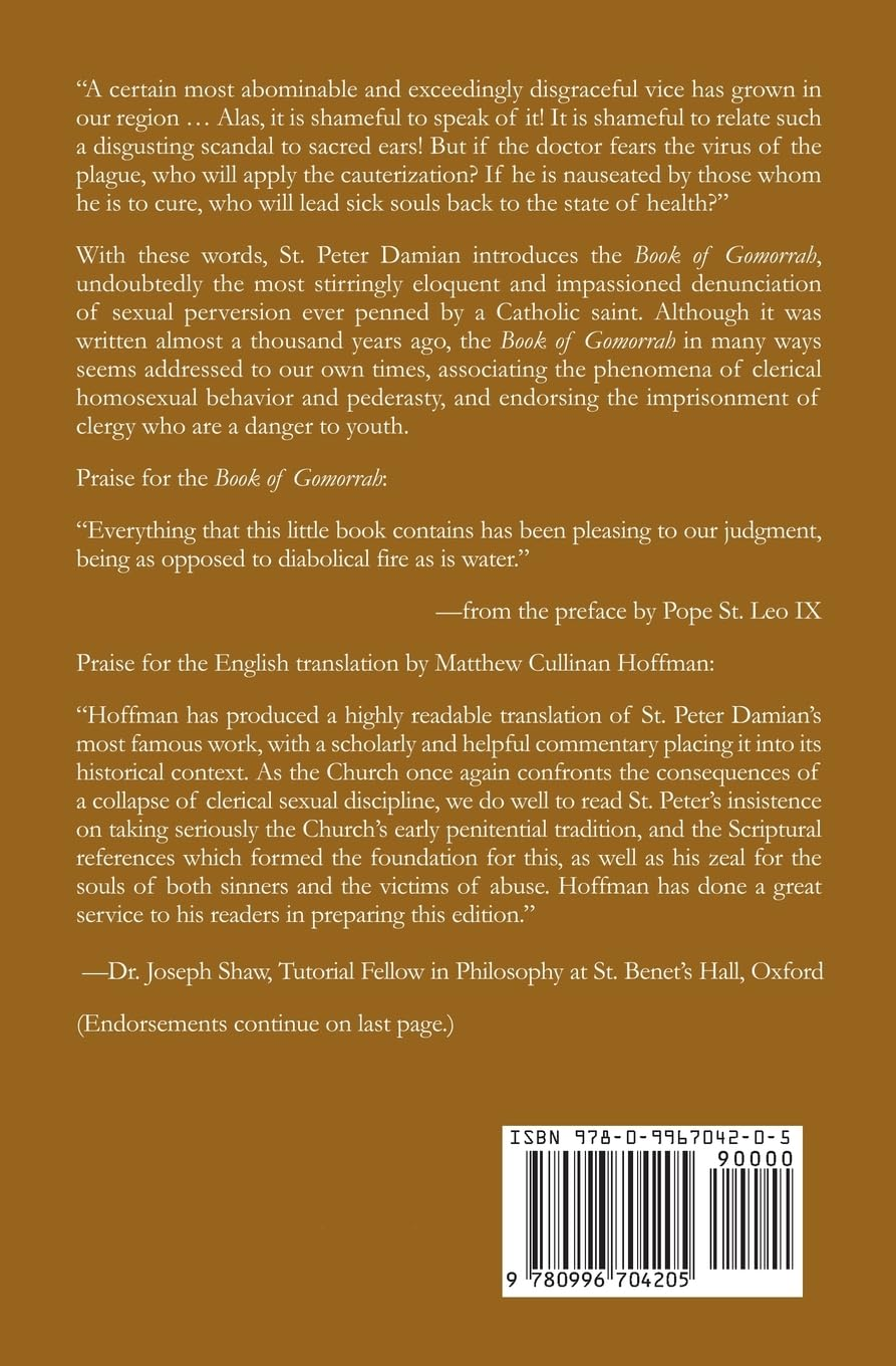 The Book of Gomorrah and St. Peter Damian'S Struggle against Ecclesiastical Corruption image number 2