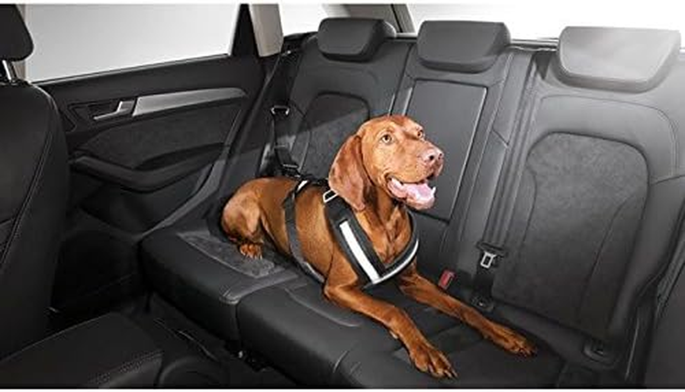 Audi 8X0019409 Safety Harness for Dogs Size S