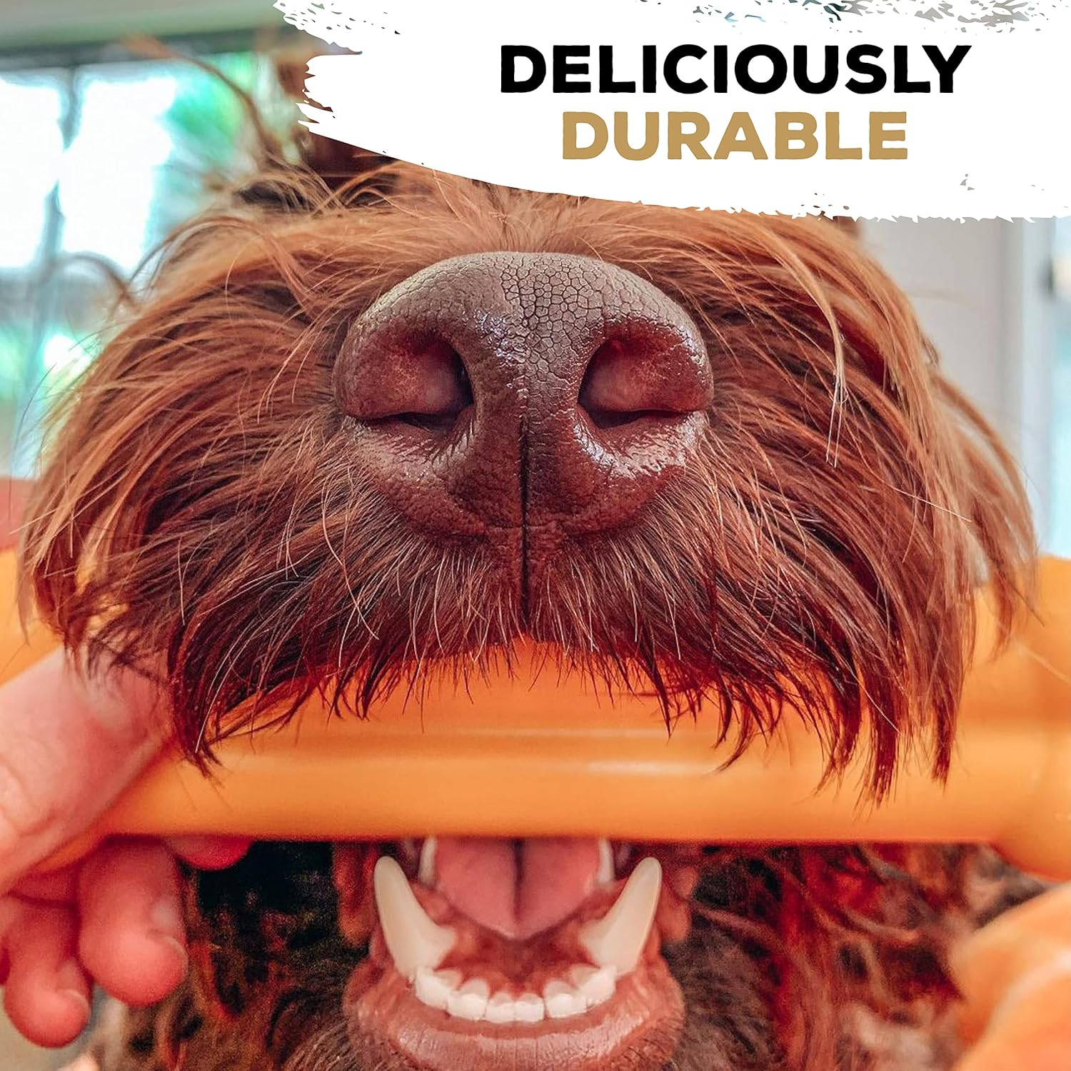 Tasty Bone Nylon Peanut Butter Dog Chew Toy Bone Large image number 4