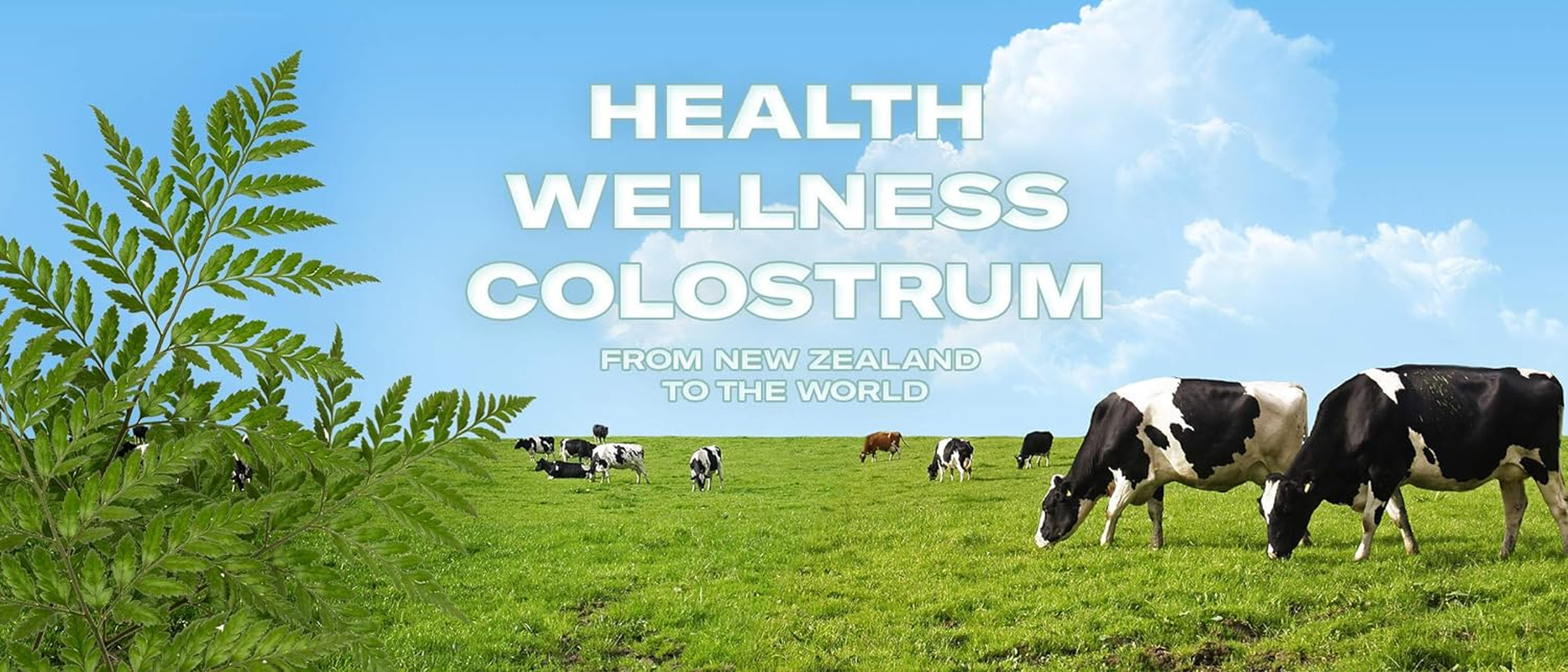 Alpha Lipid Lifeline Colostrum 450Gr image number 3