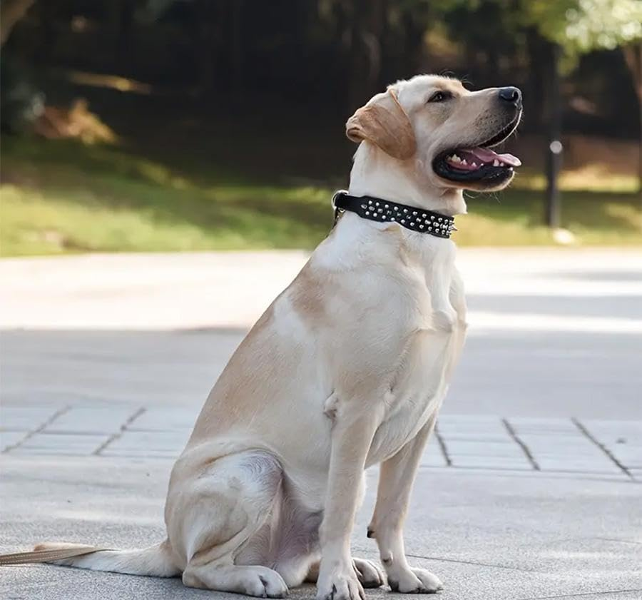 Pet Collar Rivet Studded Adjustable Necklace for Puppy Small Medium Dogs (Baby Blue, M) image number 1