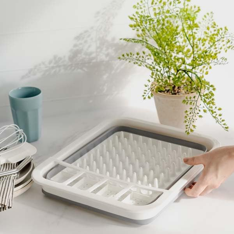 Seymour'S Collapse-A Dish Rack