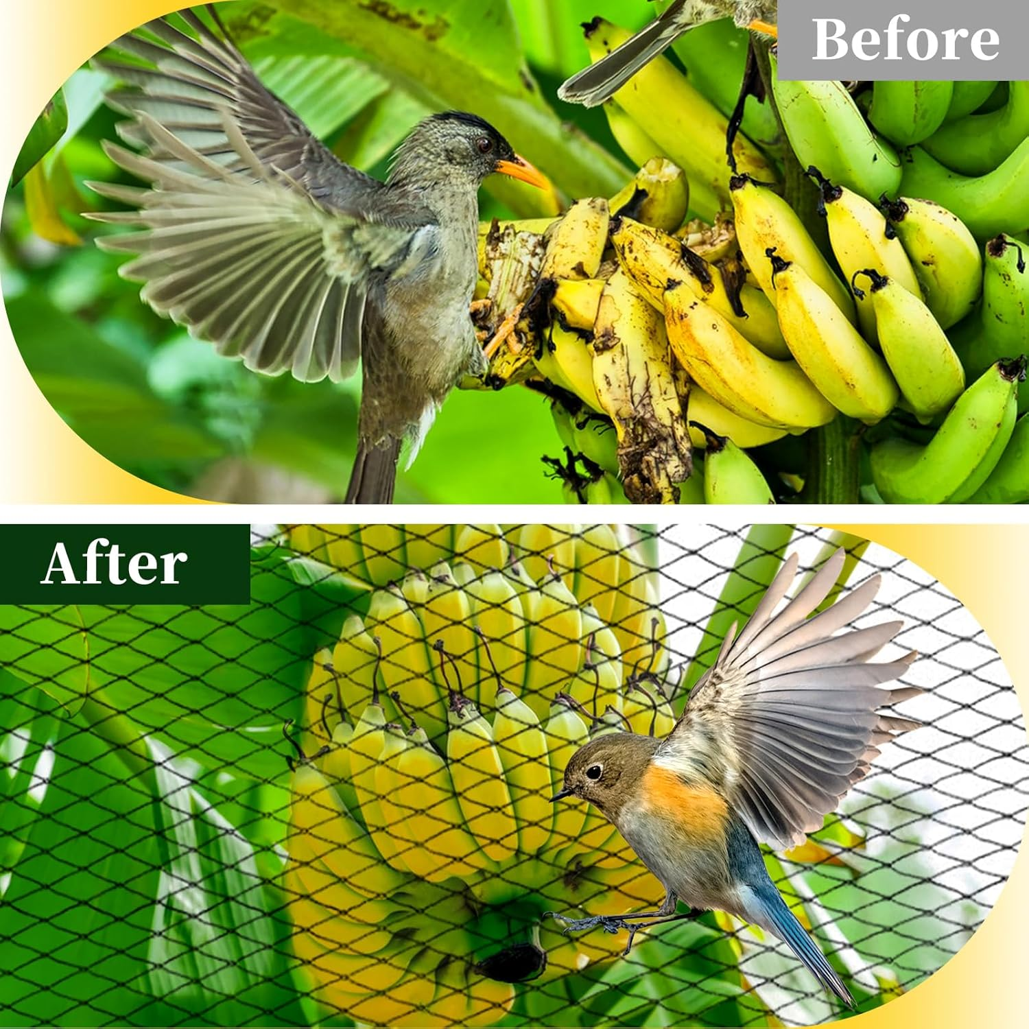 Bird Netting for Garden, 13 X 40 FT Bird Netting for Chicken Coop, Heavy Duty Garden Poultry Net Mesh with Ties and Staples for Fruit Trees Vegetables against Birds, Deer, Squirrels image number 2