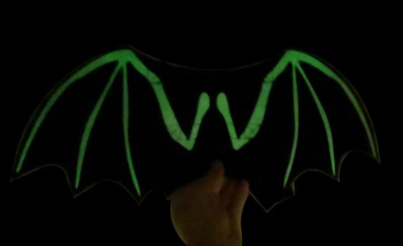 Dog Bat Costume Dog Wing Dog Halloween Costumes for Dogs, Dog Cat Bat Wings Halloween Pet Bat Wings for Small Medium Large Dogs, Dog Cosplay Costume Halloween Christmas Party (Black, L)