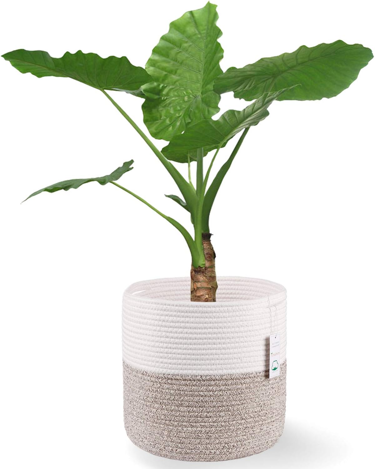 Woven Cotton Rope Plant Basket for 11 Inch Flower Pot Floor Indoor Planters,Decorative Small Basket for Plants Storage Organizer Modern Home Decor (12" X 12", Khaki) image number 3