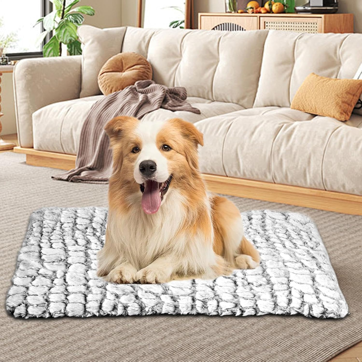 Generico Warm Cat Bed | Self-Warming Pet Pad for Cats and Dogs | Soft Thermal Cat Bed Pad with Removable Cover, Cozy and Heated Pet Warmer Mat for Indoor Cats, Dogs, for Home, Living Room, Bedroom image number 1