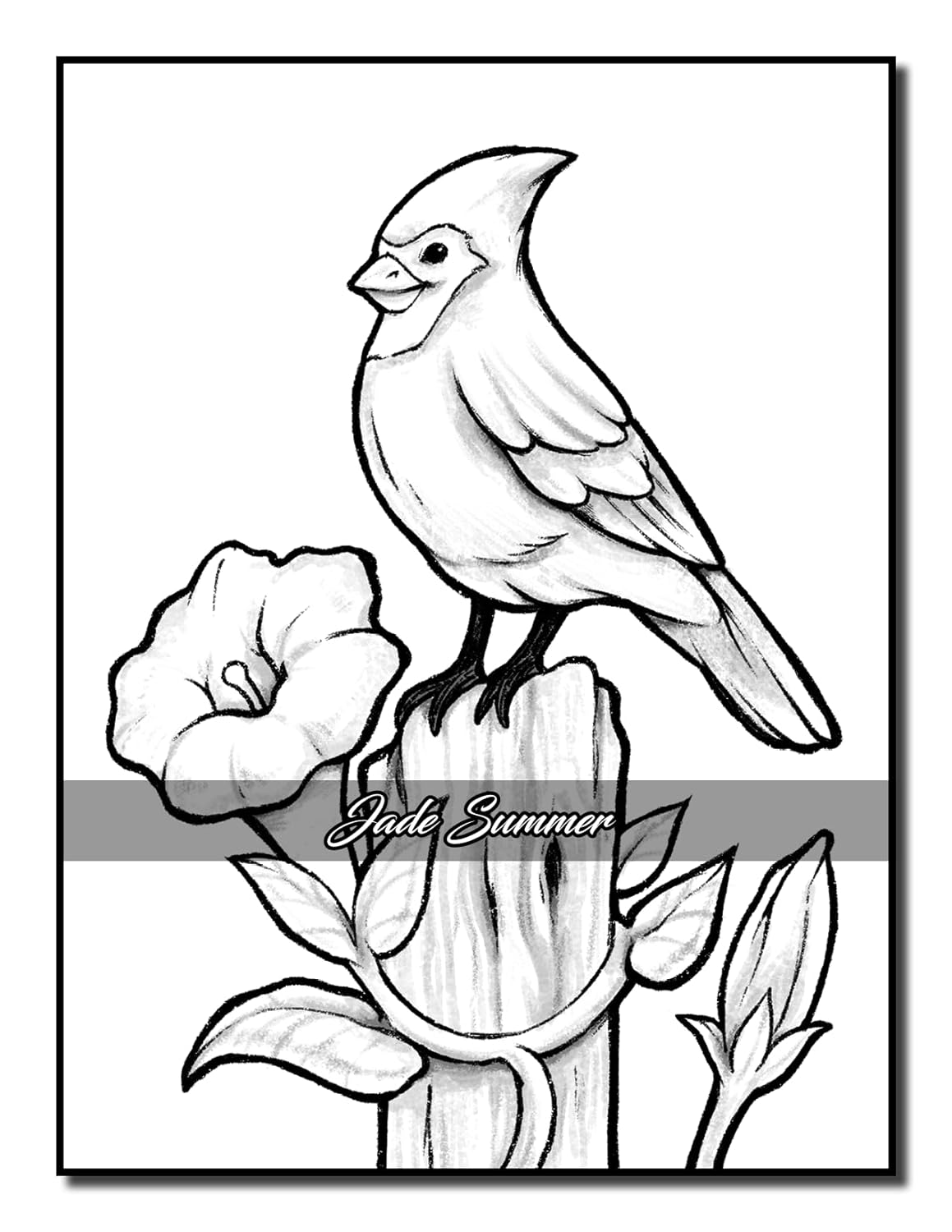 Easy Coloring Book: Large Print Designs for Adults and Seniors with 50 Simple Images of Animals, Flowers, Food, Objects, and More! image number 1