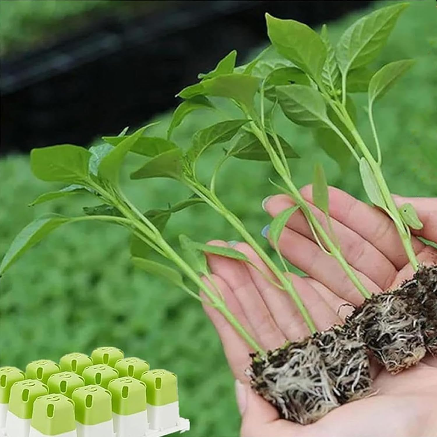 Yeanifeana Reusable Silicone Seedling Starter Tray, 12 Flexible Pop-Out Cells for Indoor Gardening, Greenhouse Planting, Durable Seed Pots & Growing Containers for Plants (5 Silicone Trays)