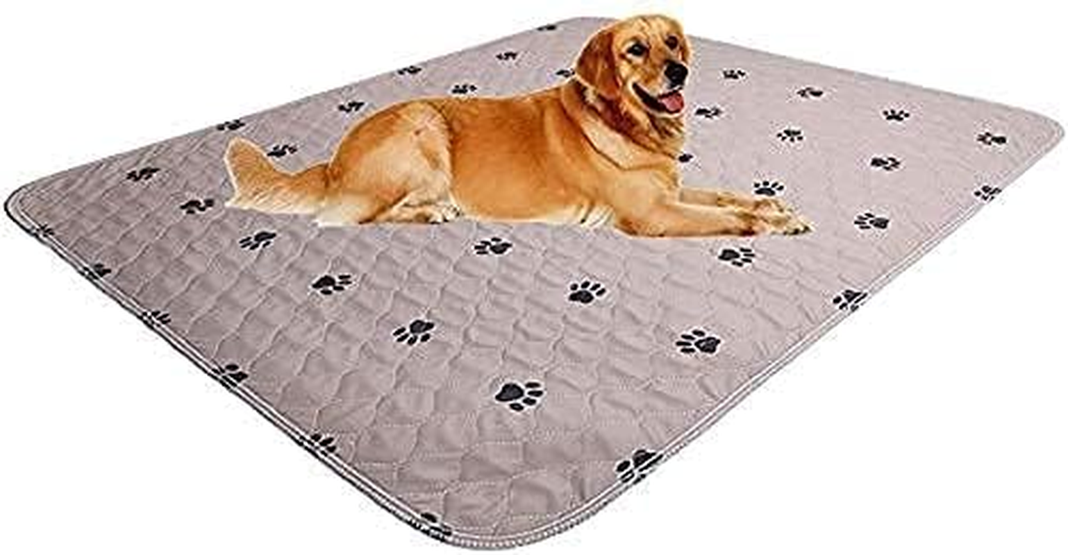 Sincopet Machine Washable Dog Pee Pads/Puppy Pads/Reusable Dog Training Pads/Large Dog Pee Pad (31X36) 2 Pack/Waterproof Pet Pads for Dog Bed Mat/Fast Absorbing Whelping Pads image number 1