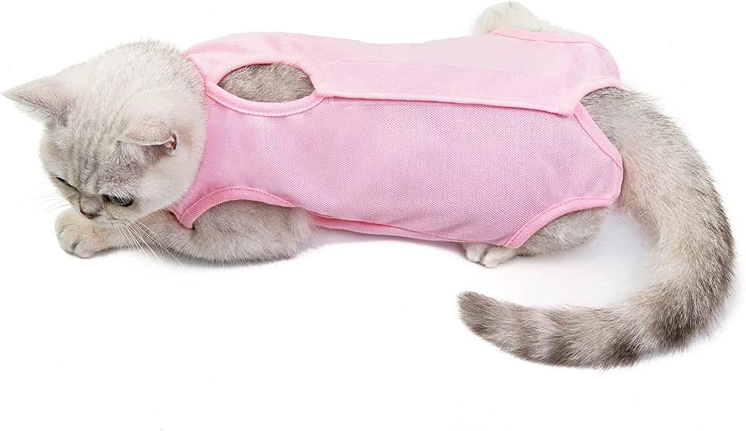 Valuehall Cat Surgical Recovery Suit - E-Collar Alternative, Prevents Secondary Infection, Anti-Licking, V11C09 (L, Blue) image number 4