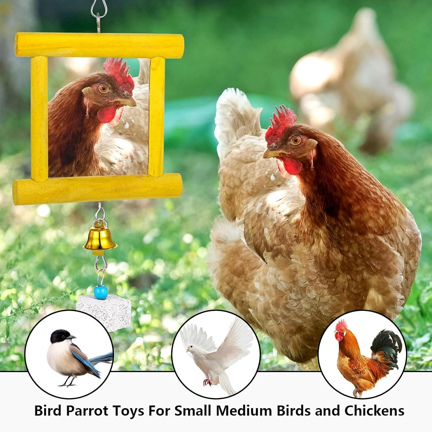 Chicken Mirror Beak Grinding Enrichment, 4Pcs Chicken Mirror Coop Enrichment Mirror Pecking Toy, Coop Enrichment Mirror Pecking Toy, Chicken Molar Stone Mirror Enrichment