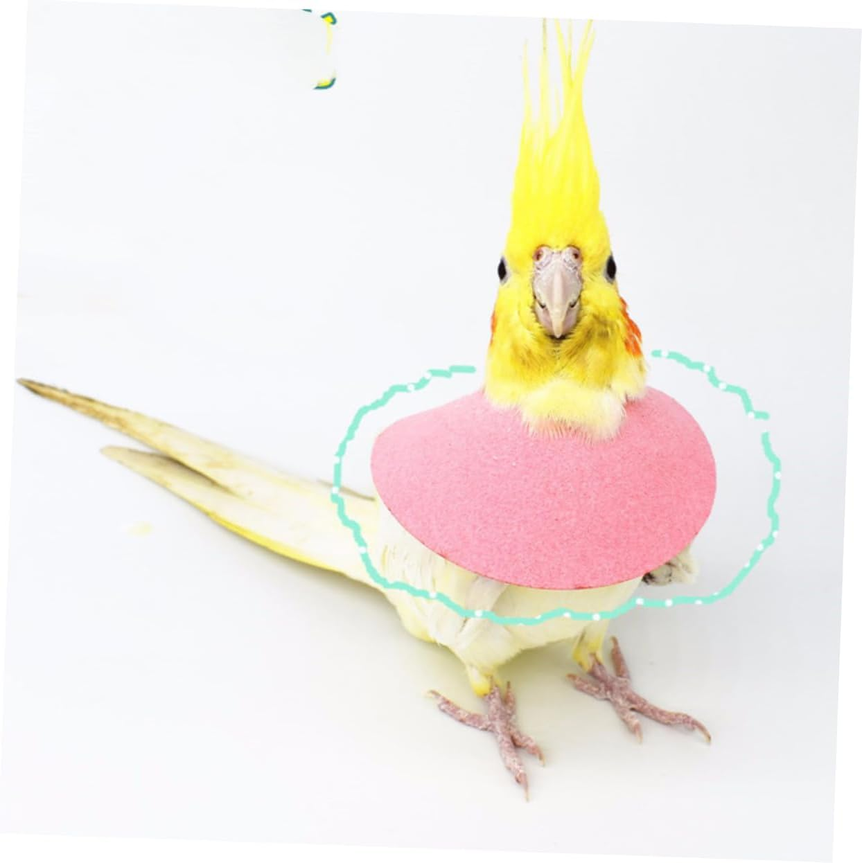 VILLFUL Bird Anti-Biting Collar Parrot Cone Neck Protector Soft Protective Collar for Plumage Damage Prevention Suitable for Parrots and Small Birds in Recovery