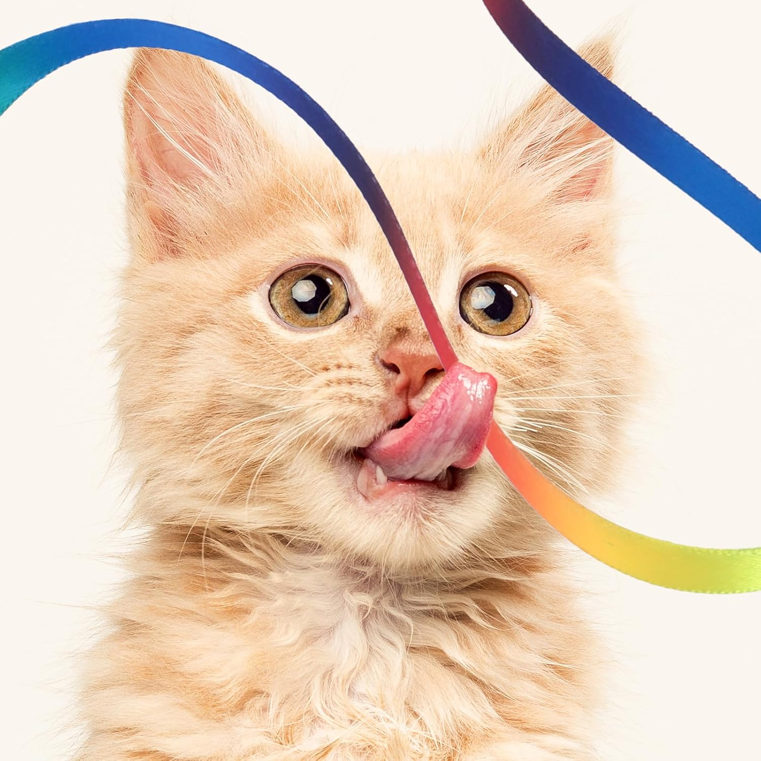 Amaxiu Cat Wand Toy Set, Interactive Cat Wand Toy with Rainbow Ribbon String, Rainbow Cloth String, Leopard Print Cloth String for Small Cats Kittens Indoor Training Catcher(6 Packs) image number 1