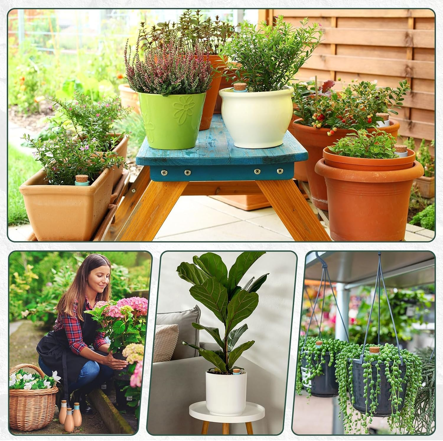 Plant Watering Globes, 4 Pack Terracotta Pots Self Watering Pots, Slow Release Olla Watering Pots While Away - Self Watering Spikes for Indoor & Outdoor Plants with Easy Top Refill System image number 5