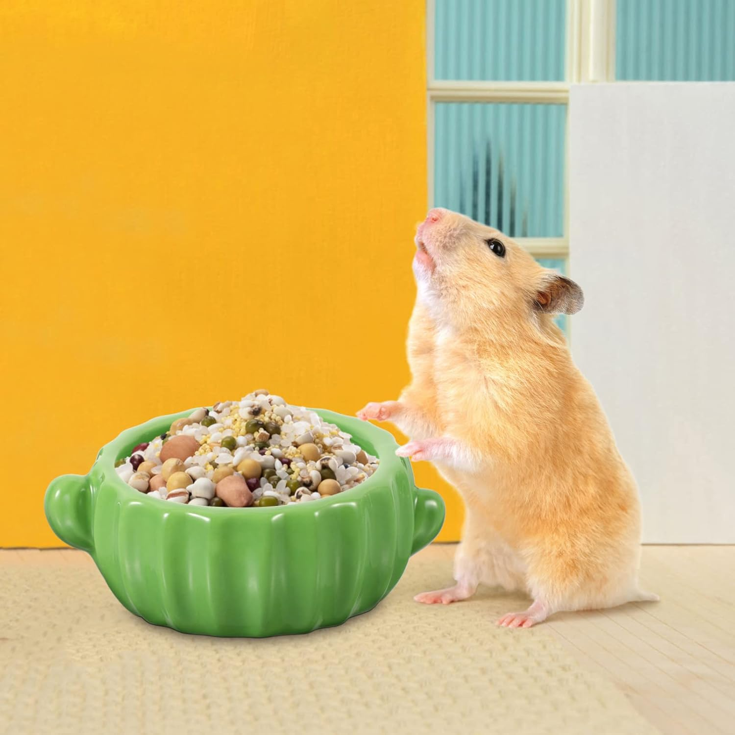 Mipcase Small Animal Bowl Guinea Pig Food Bowl Easy to Clean Safe for Hamsters and Chinchillas image number 5